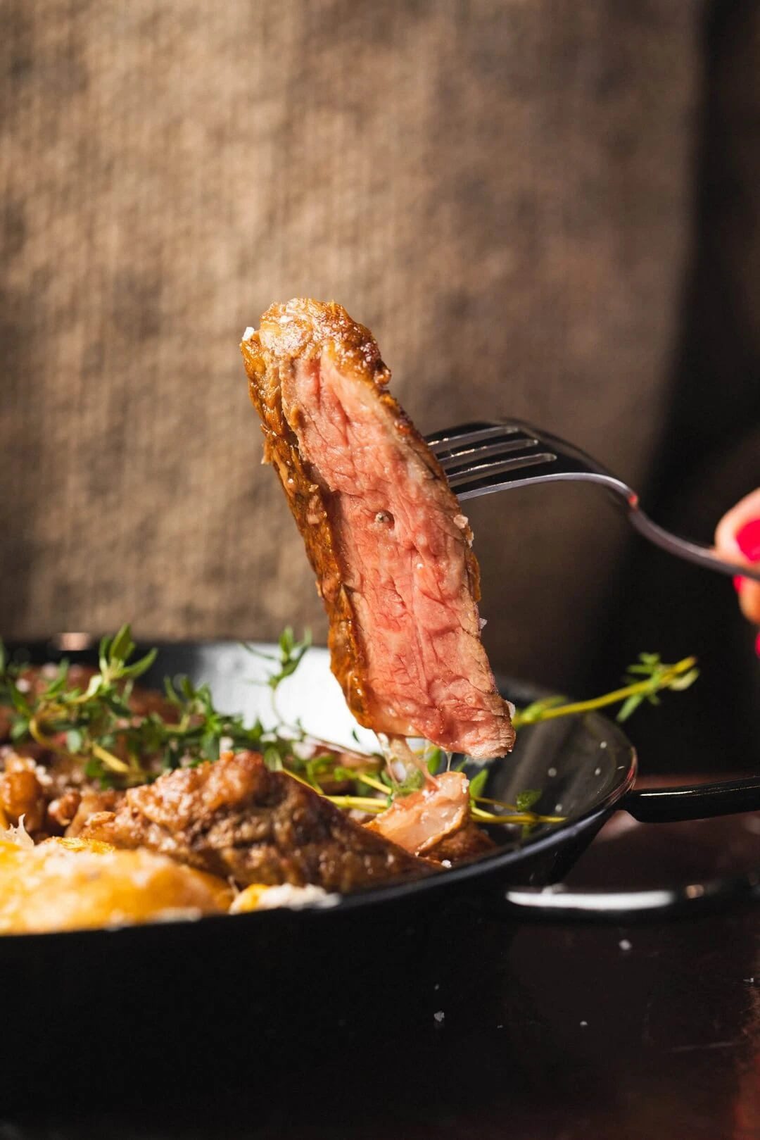 Kulinarna Kamienica 4.11.2025 -8429